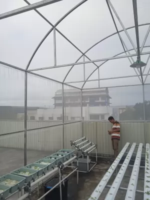 https://madanifarm.com/produk/11/jasa-buat-greenhouse-madani-farm-ahlinya-greenhouse-di-malang-raya
